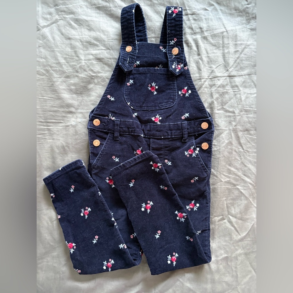 GAP Velvety Denim Overalls with Floral Accents - Picture 1 of 5